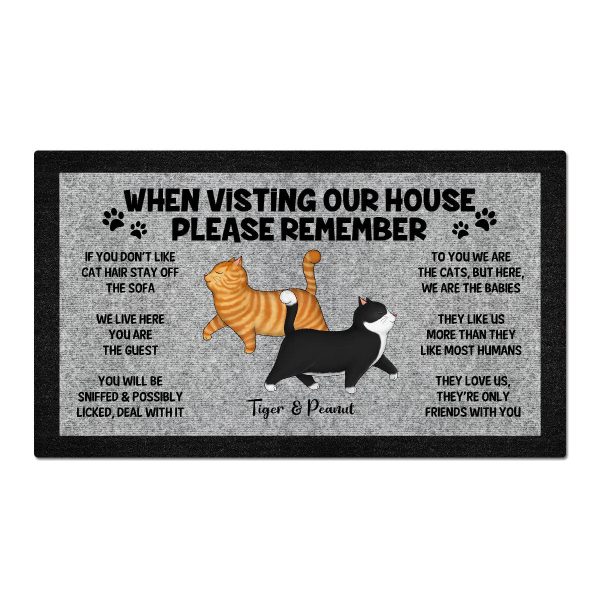 Please Remember When Visiting Cat House, Funny Cat Lover Rug Doormat Online - Image 2
