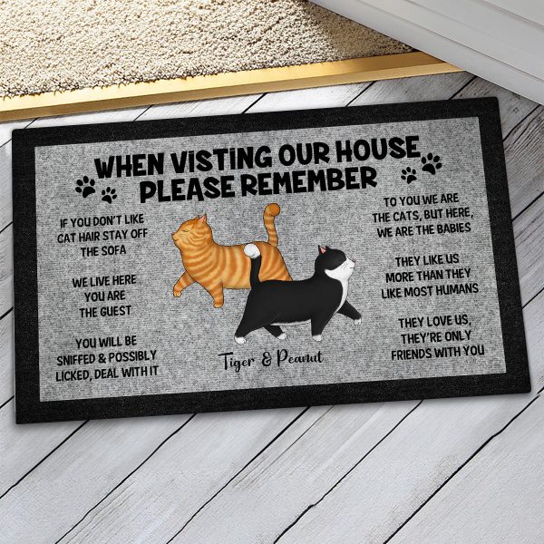 Please Remember When Visiting Cat House, Funny Cat Lover Rug Doormat Online - Image 3