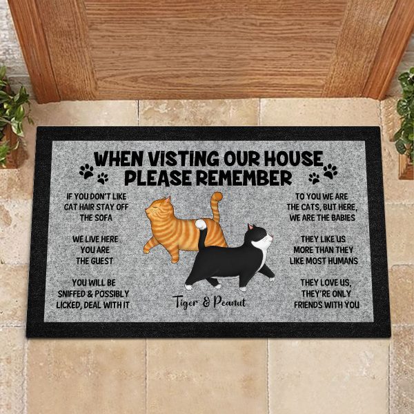 Please Remember When Visiting Cat House, Funny Cat Lover Rug Doormat Online